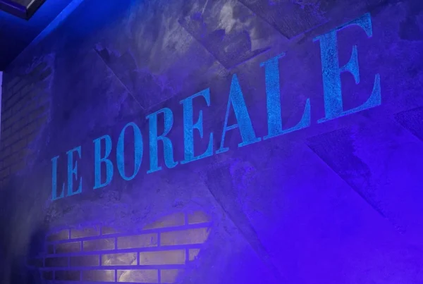 Logo le Boréale Love Room romantique Le boreale Love Room meurthe-et-moselle