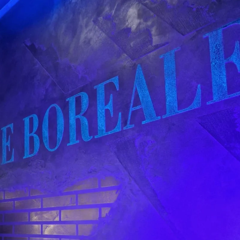 Logo le Boréale Love Room romantique Le boreale Love Room meurthe-et-moselle